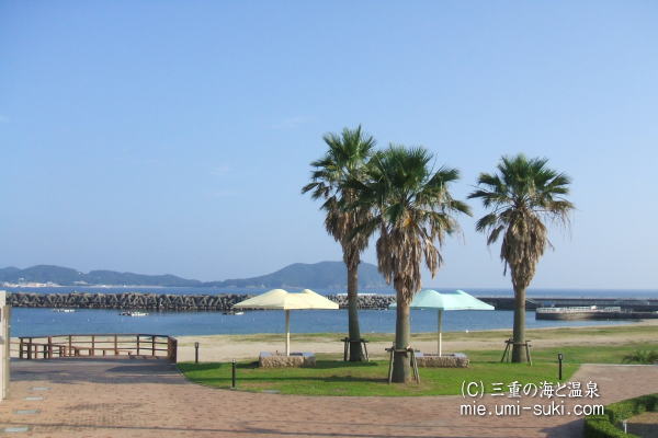 大矢浜海水浴場の写真